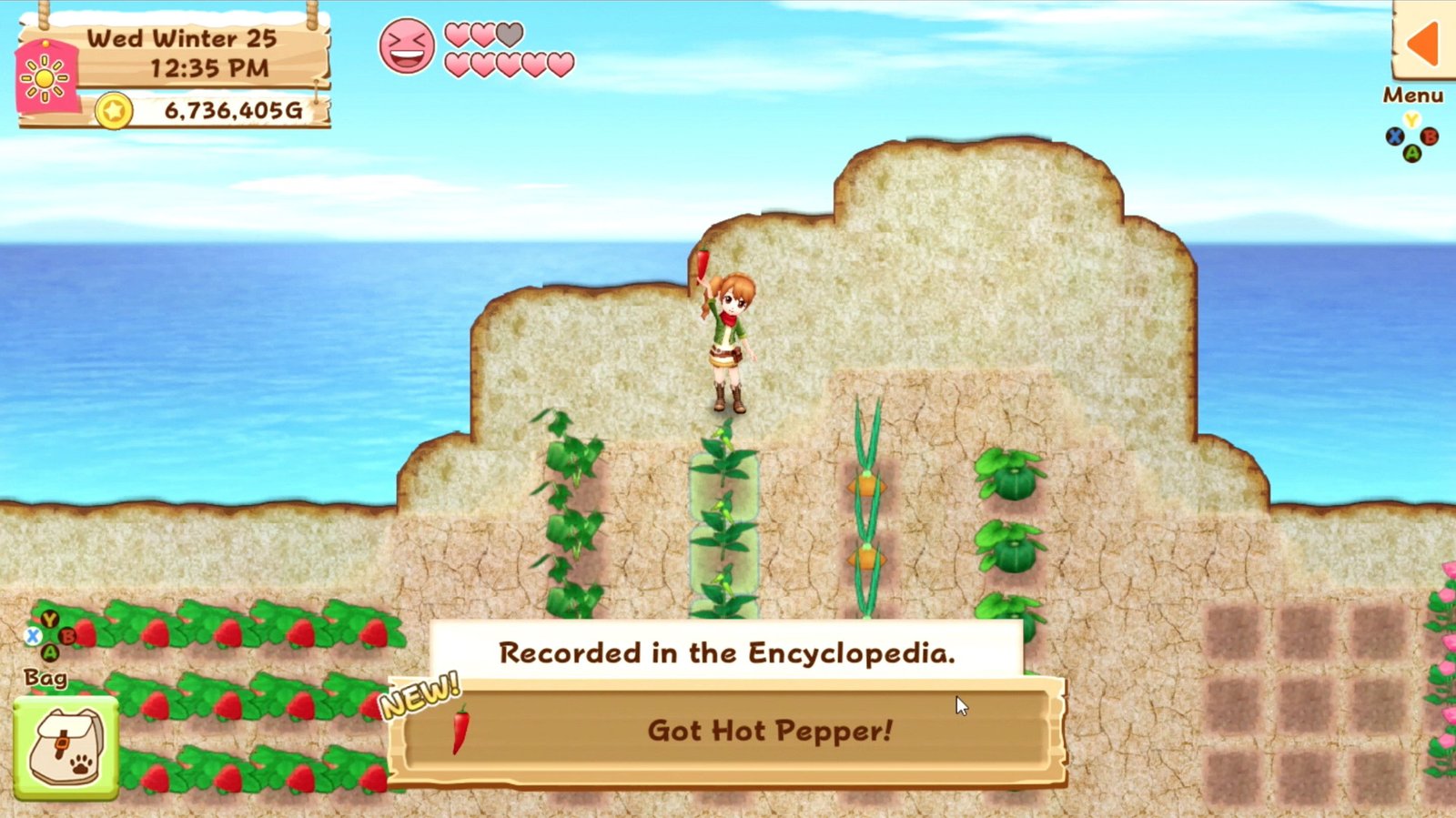 ‘Harvest Moon: Light of Hope Special Edition’ llegará a Europa el 22 de junio