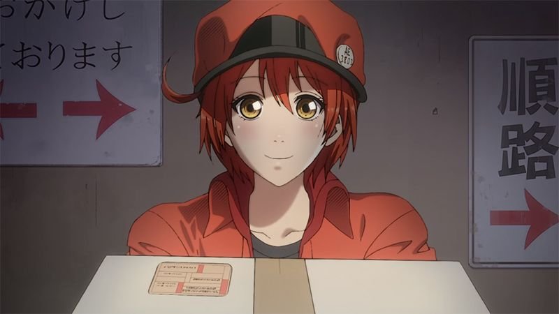 ‘Cells at Work!’ será la primera licencia de Coalise Estudio