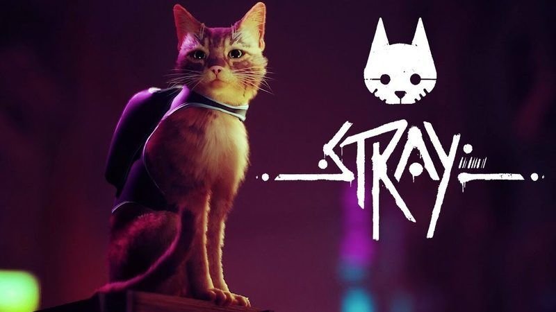 Así es ‘Stray’, un gato en un mundo cyberpunk