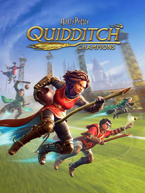 Harry Potter: Campeones de quidditch