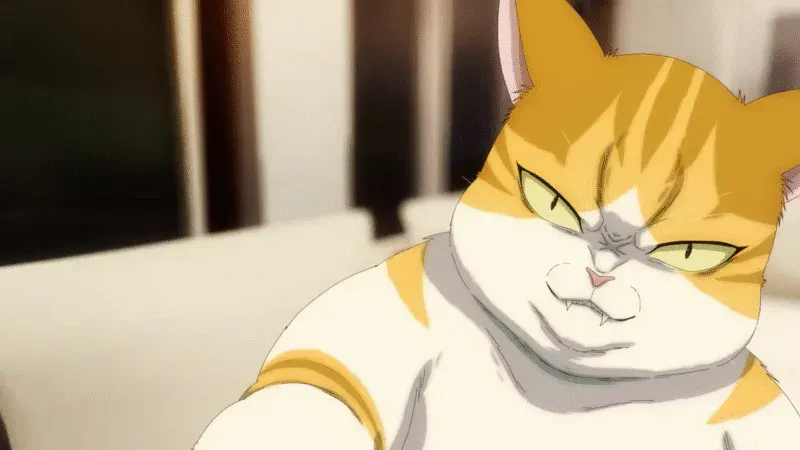 Eleceed tendrá una adaptación anime