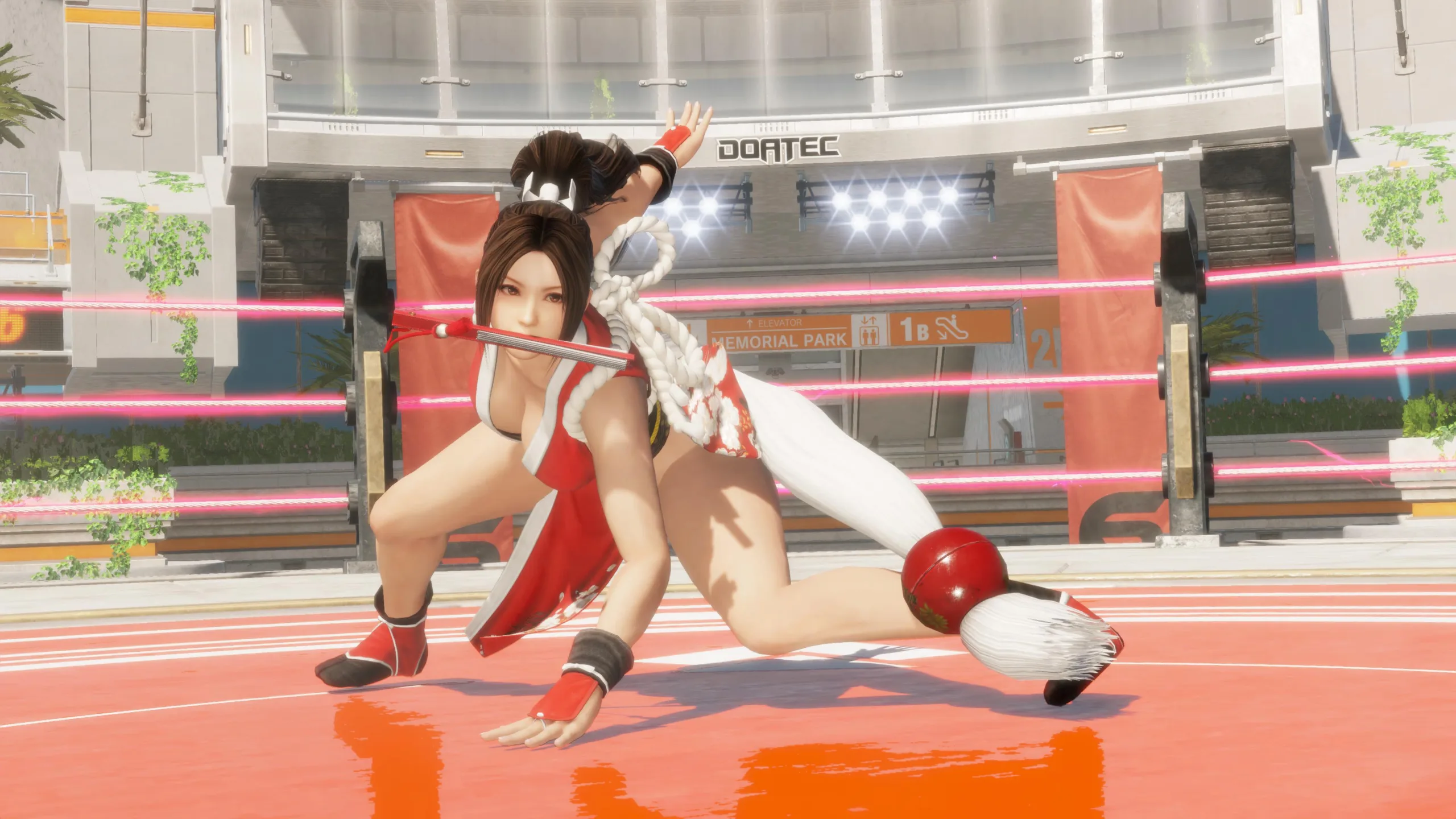DEAD OR ALIVE 6 Last Round